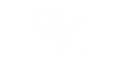 Beauty Training Direct logo