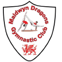 Maldwyn Dragons Gymnastic Club