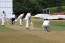 Isle Of Wight Cricket Board