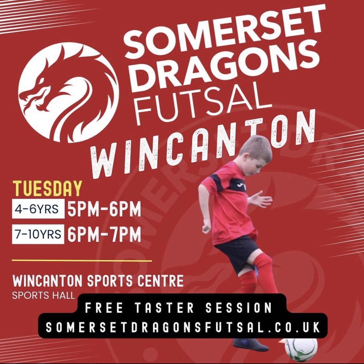 Somerset Dragons Futsal logo