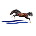 Arden Equine Pool logo