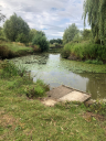 The Jubilee Fishery