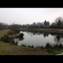 Amport Trout Fishery logo