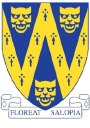 Shropshire Football Association Ltd logo