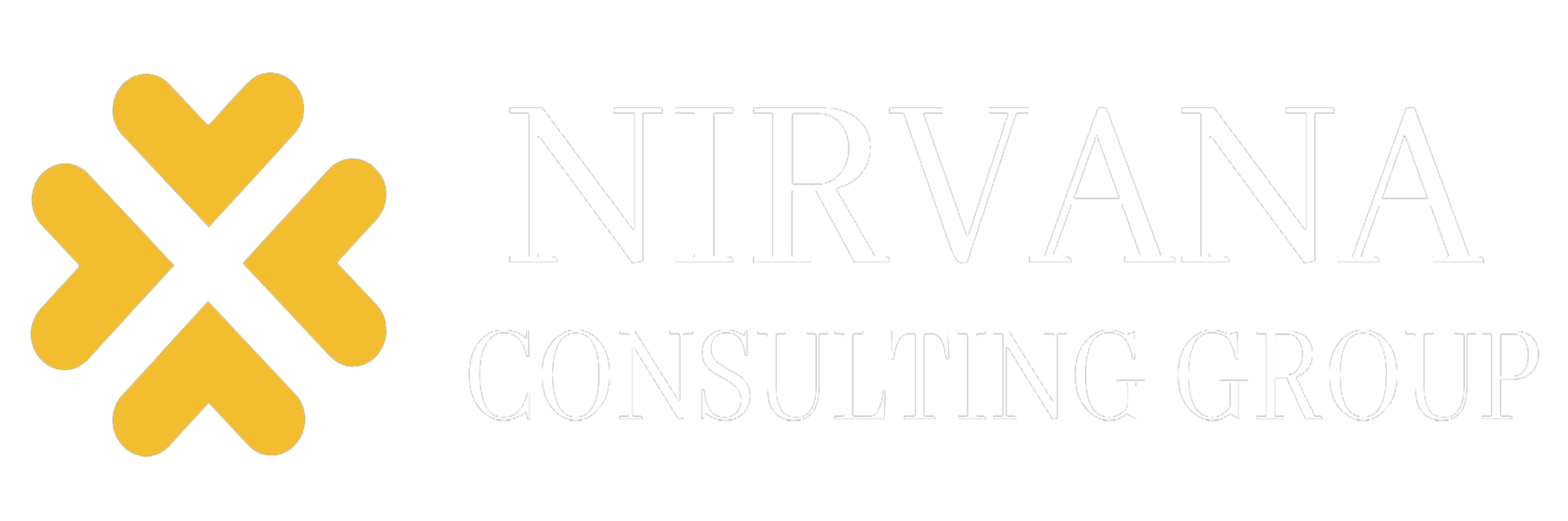 Nirvana Education International logo