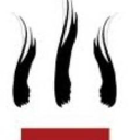 Shakti Academy logo