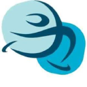 Ice Coach Online logo