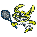 Northampton Tennis Coaching logo