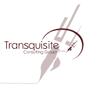 Transquisite Consulting logo