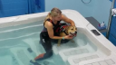 Dogfish Hydrotherapy Ltd