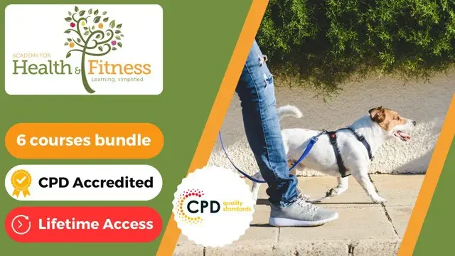 Pet Sitting and Dog Walking Course - CPD Certified