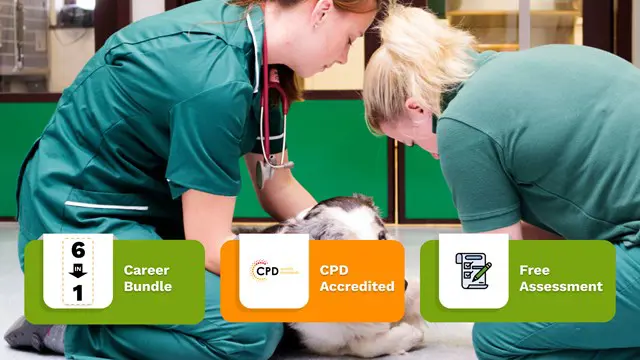 Veterinary Assistant Diploma (Online) - CPD Certified