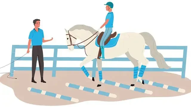 Horse Care Essentials Training
