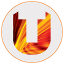 Teesside University International Business School logo