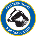 Brockenhurst Football Club logo