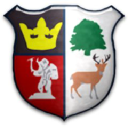 Cinderford Town Youth Fc logo