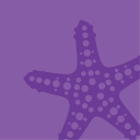 Starfish People Hr Chichester logo