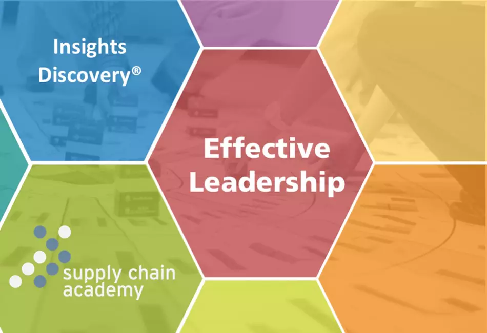 Insights Discovery® – Effective Leadership