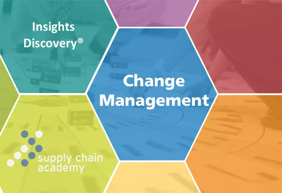 Insights Discovery® – Change Management