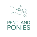 Pentland Ponies
