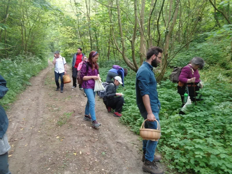 1 Day Foraging Course