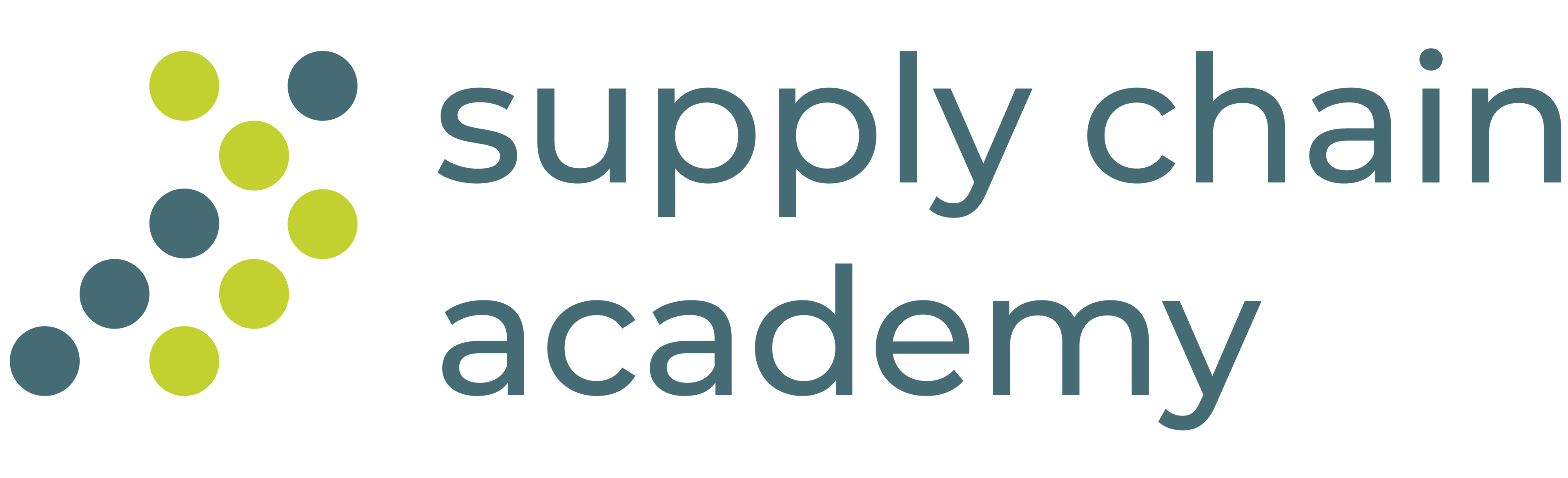 Supply Chain Academy