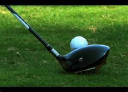 Crow Nest Park Golf Club logo