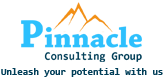 Pinnacle Consulting Group