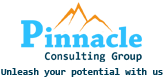 Pinnacle Consulting Group logo