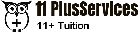 11 Plus Services logo
