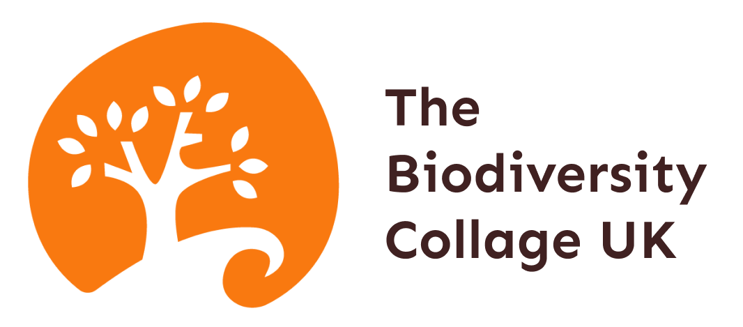 Biodiversity training - Biodiversity collage workshop