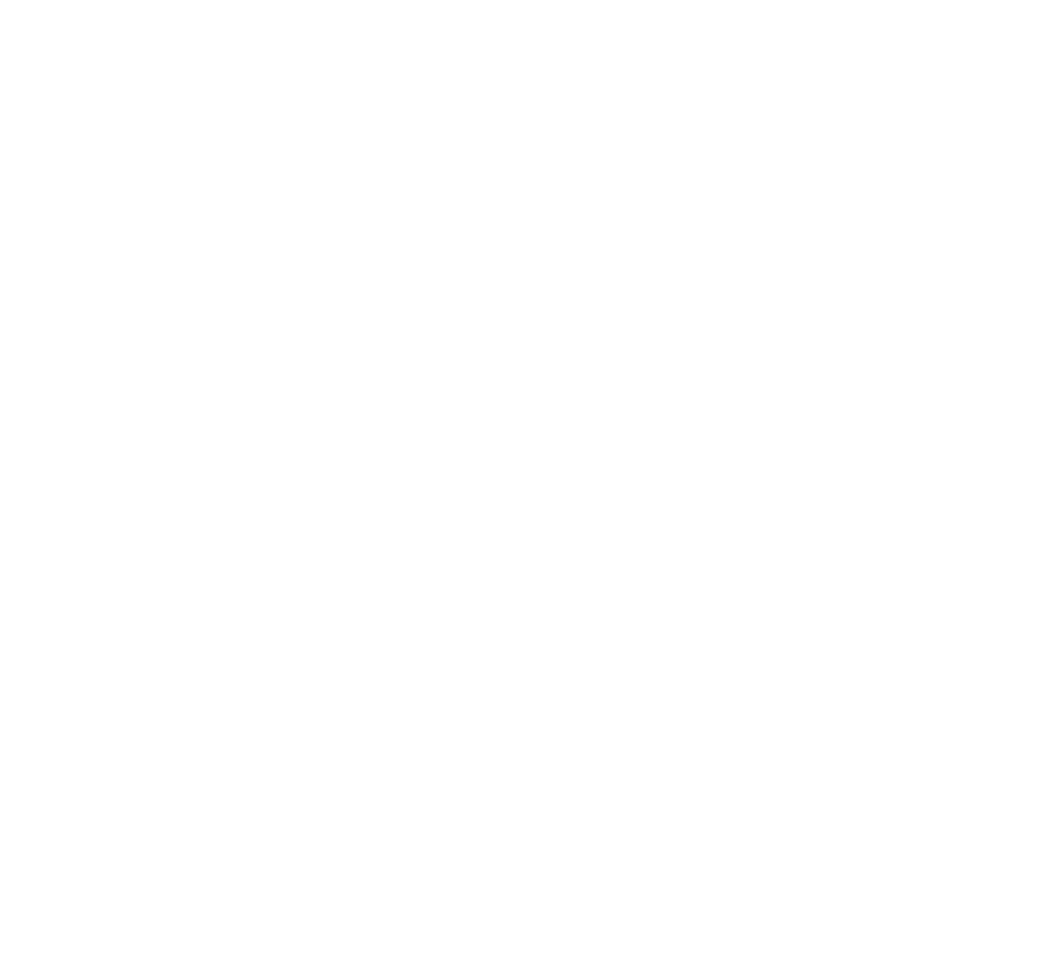 Team Best Life logo