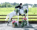 Cotswold Riding At Upper Woodhills Farm