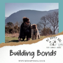My Happy Dog & Me ~ Learn How To Play, Connect & Engage With Your Dog