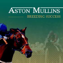Aston Mullins Stud