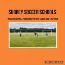 Surrey Soccer Schools logo