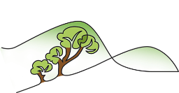South Downs Forest School