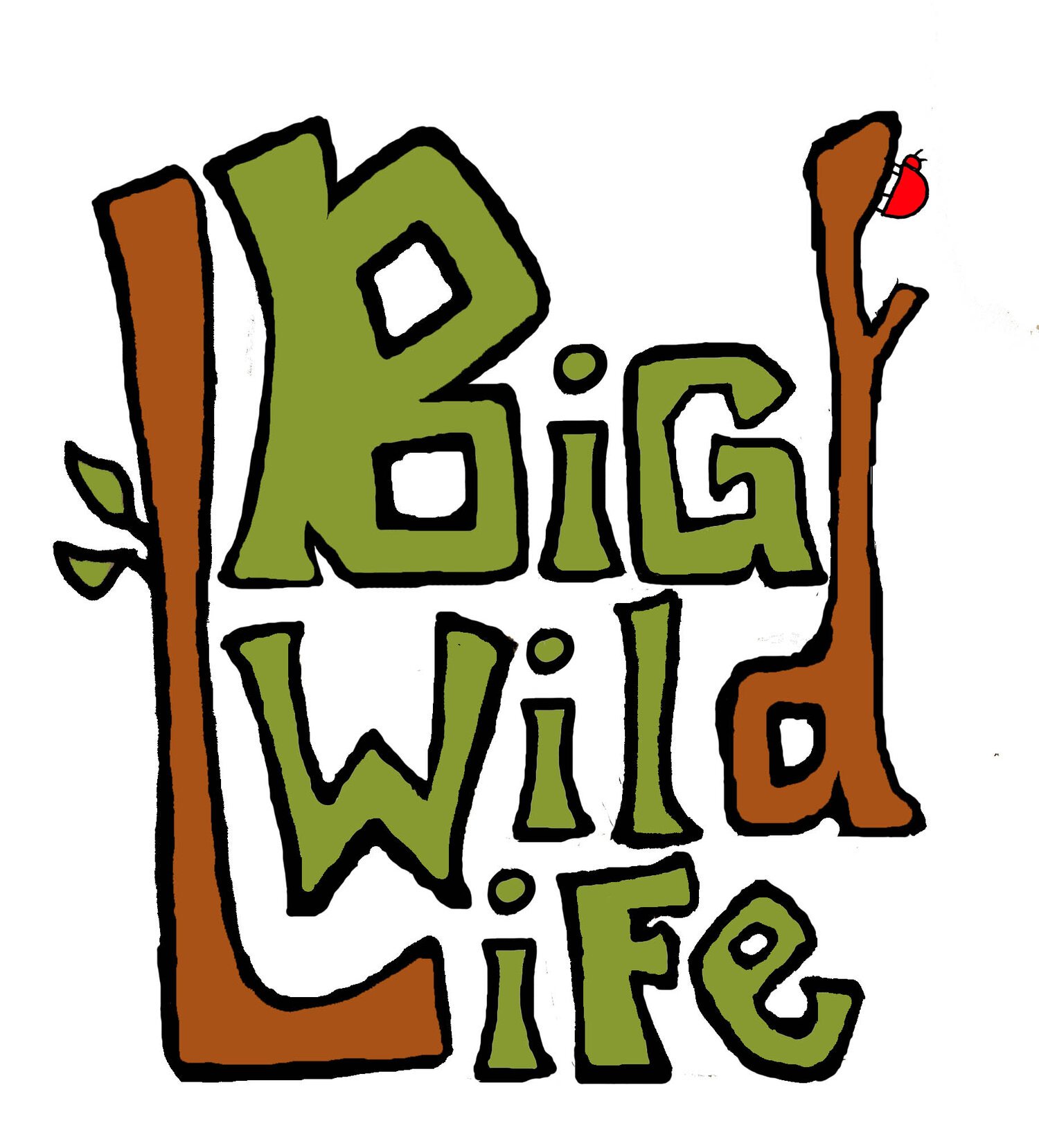 Big Wild Life Limited logo