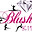 Blush Dance Kids & Juniors logo