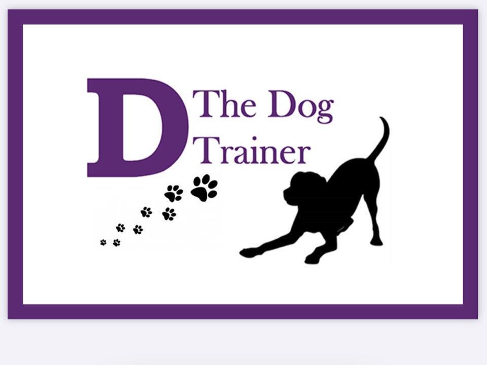 D the dog trainer logo