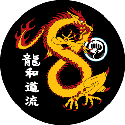 Patchway Dragon Tang Soo Do