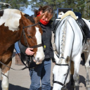 Aberdeen Riding Club logo