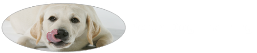 Perth Dog Training logo