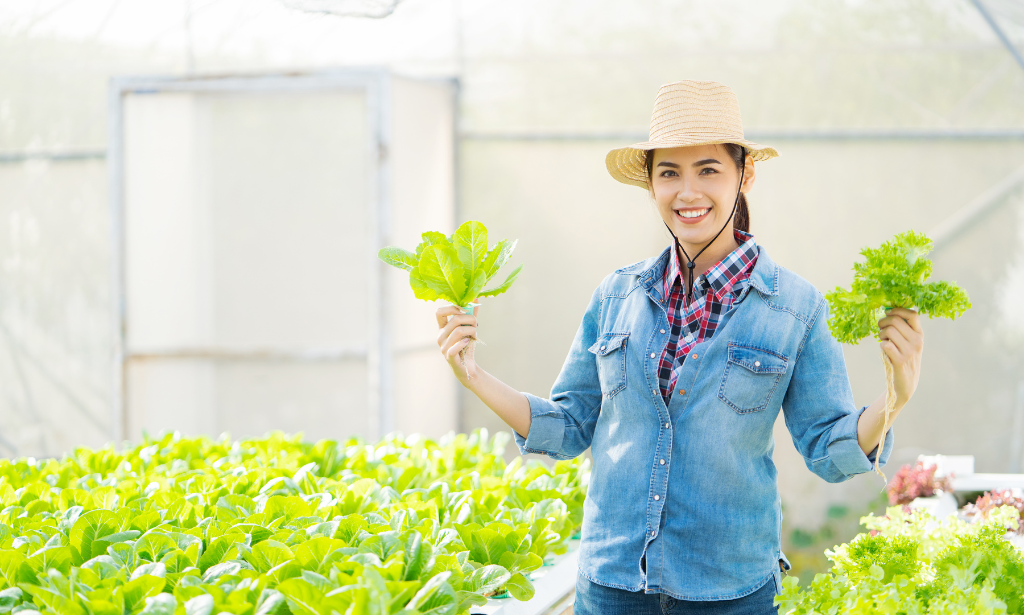 Build Your Own Home Hydroponic Farm