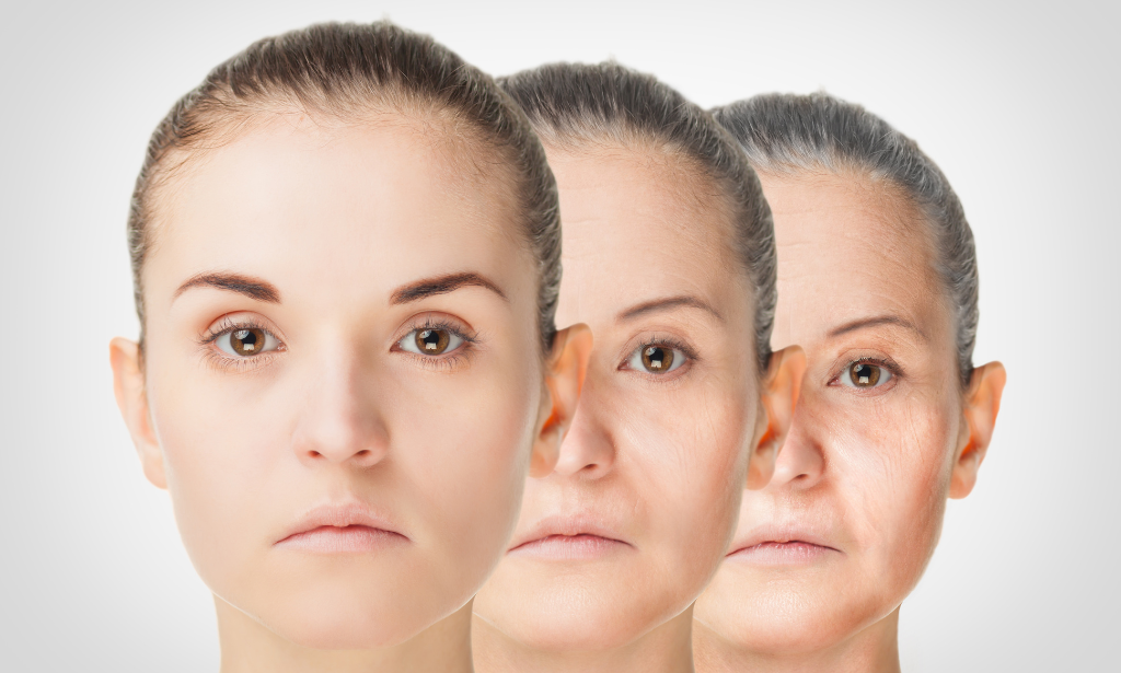 Anti-ageing Skin Nutrition