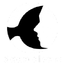 Deco Divers