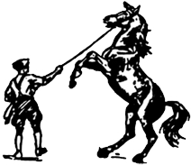 Yorkshire Sport Horse logo