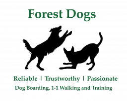 Forest Dogs Walthamstow