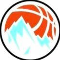 Performance Skills Basketball logo