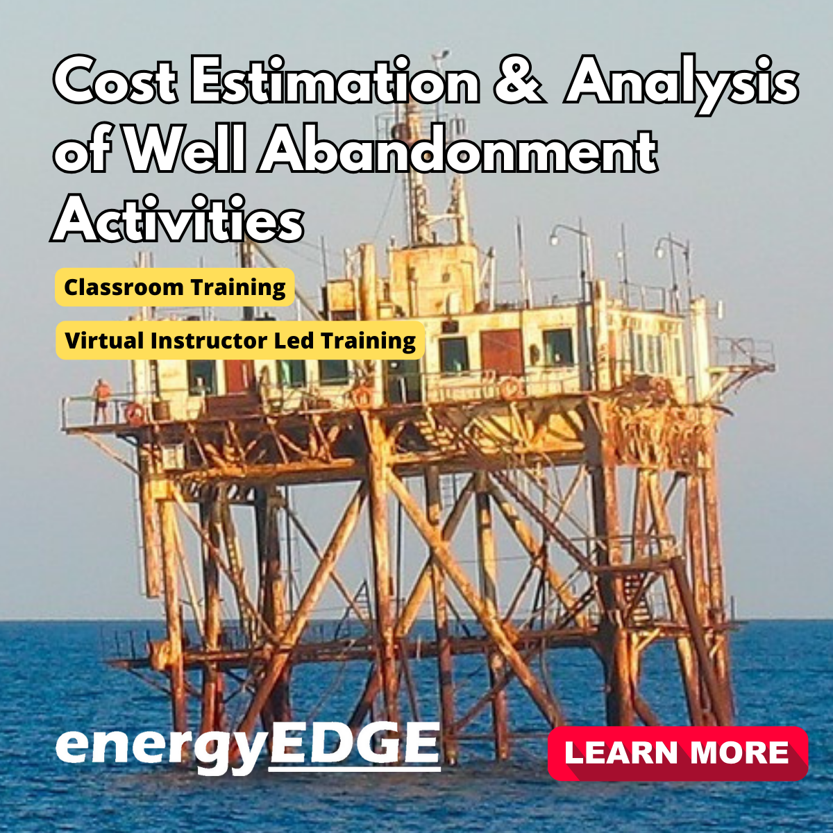 Cost Estimation and Analysis of Well Abandonment Activities